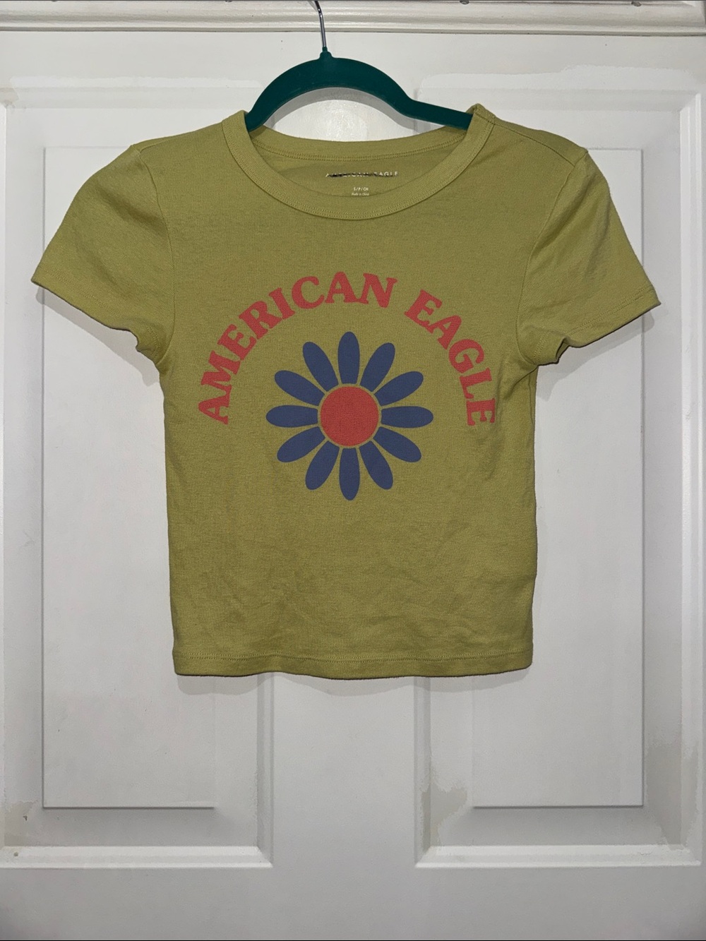 American Eagle Outfitters Olive Green Tee with Red & Blue Daisy Graphic